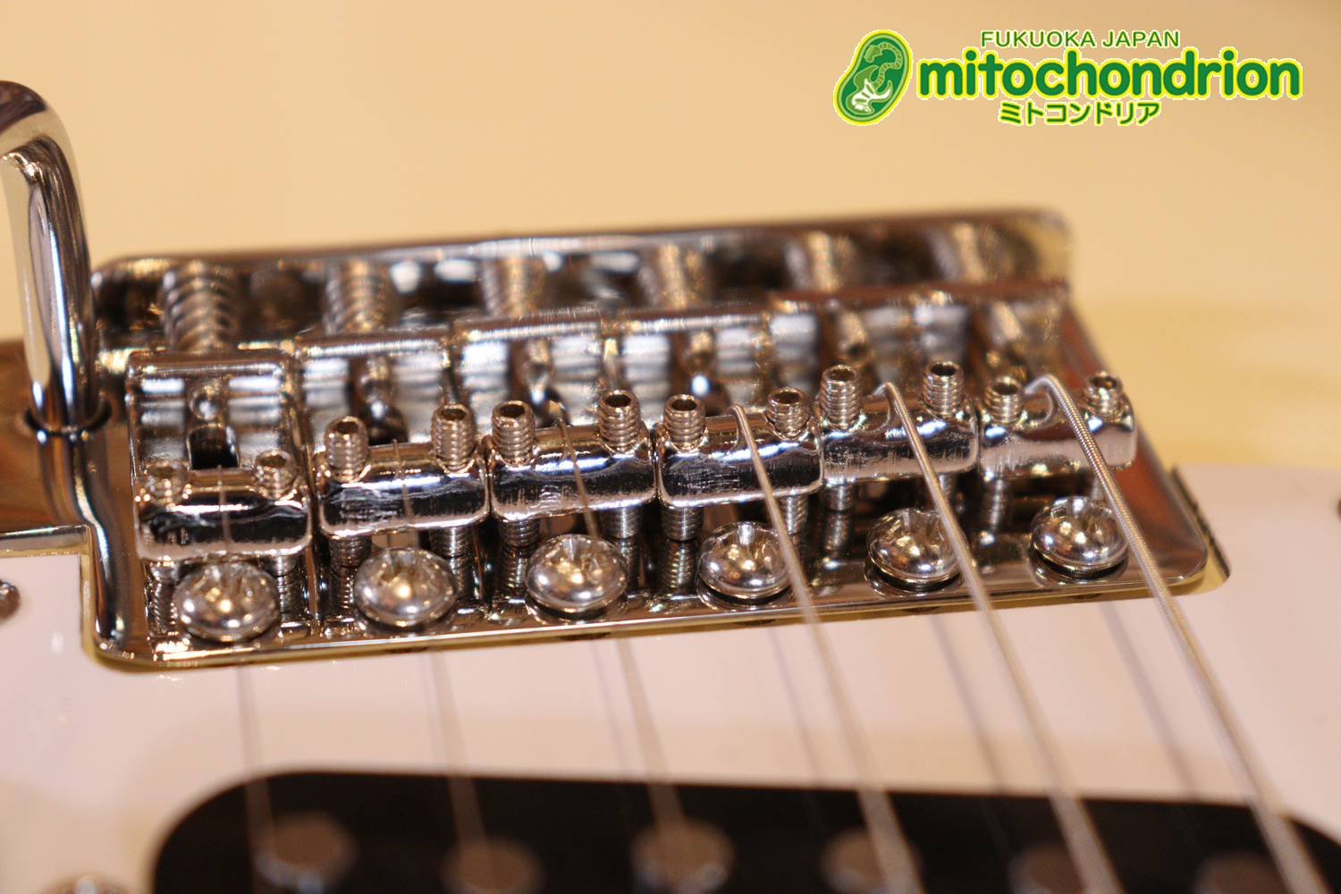 ローズ指板のスキャロップ仕様！ブラックパーツにモディファイ済です。２