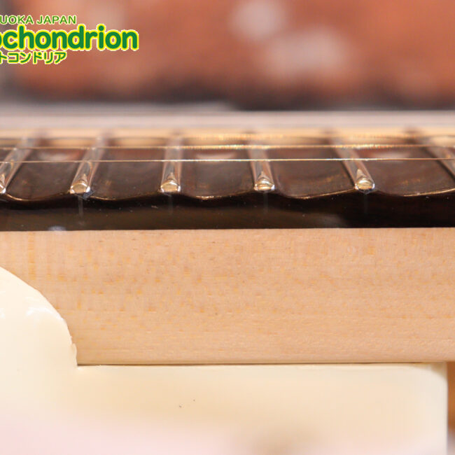 ローズ指板のスキャロップ仕様！ブラックパーツにモディファイ済です。２