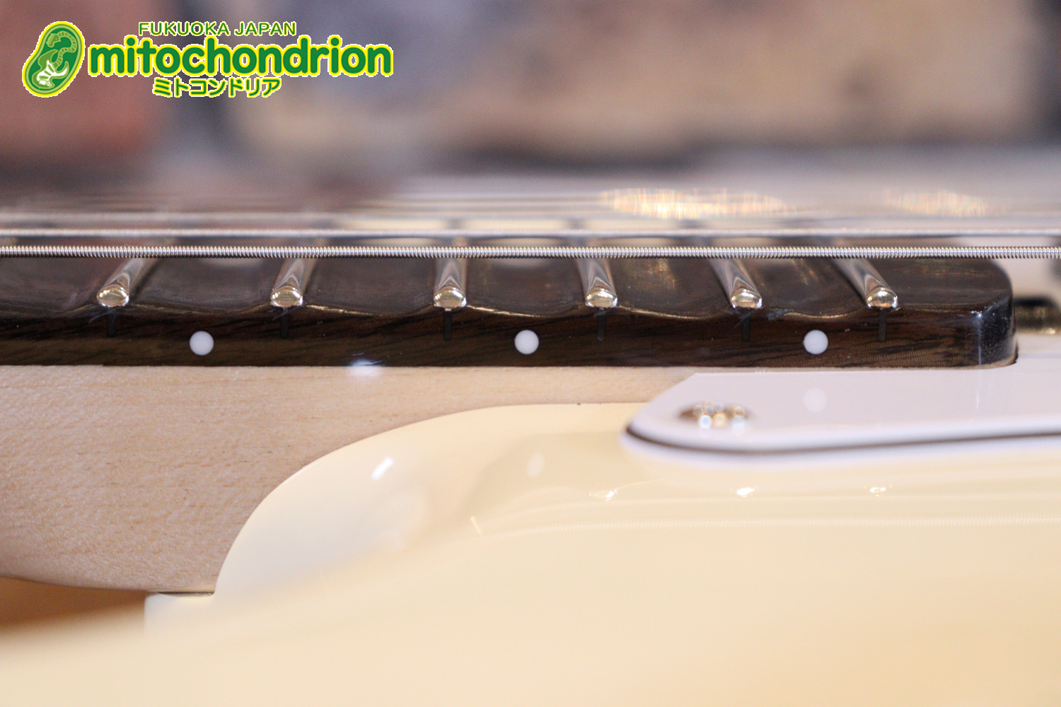 ローズ指板のスキャロップ仕様！ブラックパーツにモディファイ済です。２