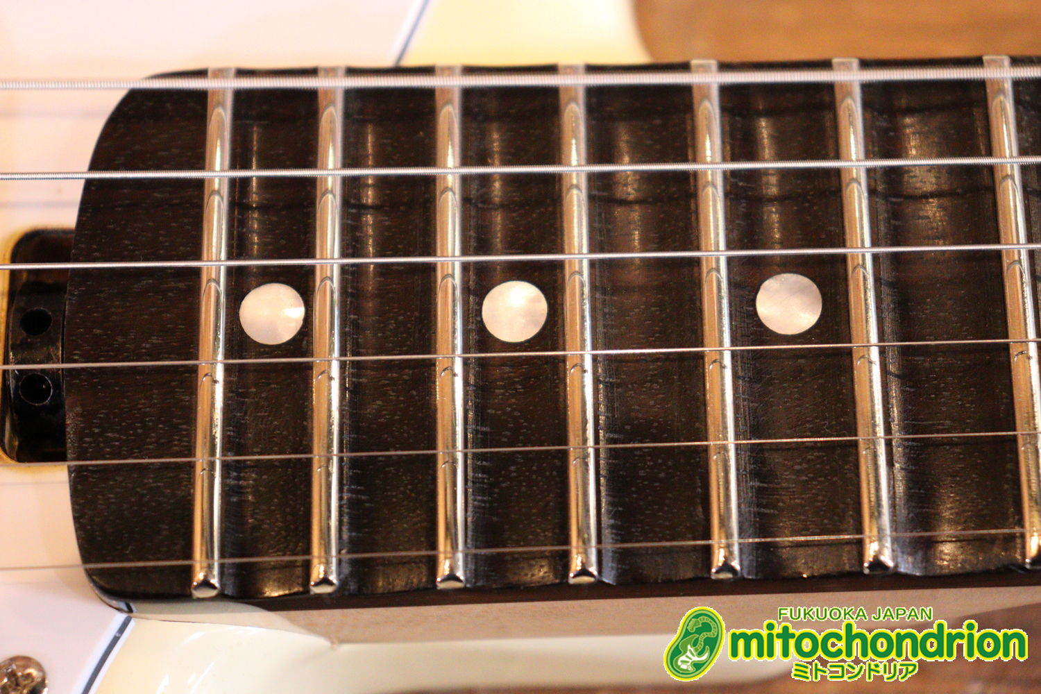 ローズ指板のスキャロップ仕様！ブラックパーツにモディファイ済です。２