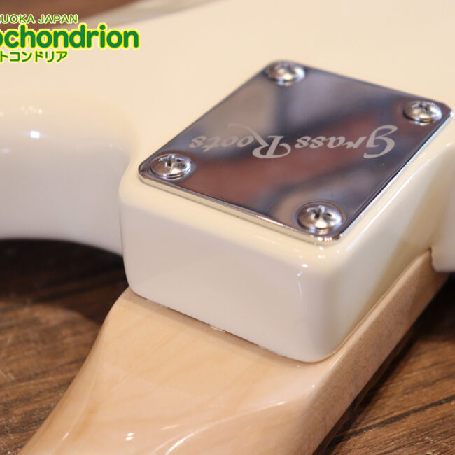 ローズ指板のスキャロップ仕様！ブラックパーツにモディファイ済です。２