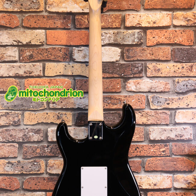 これから始める方にお勧め！万能なストラト・タイプ！BLK