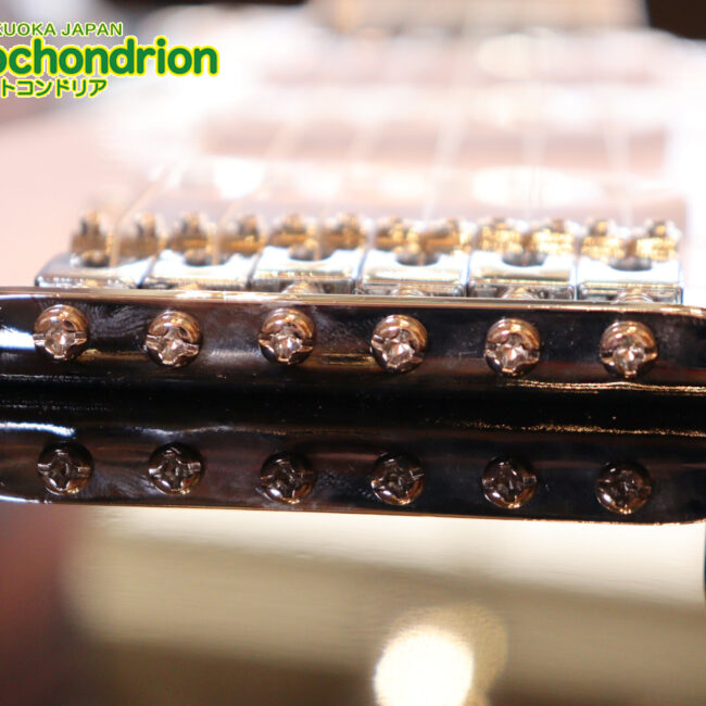 これから始める方にお勧め！万能なストラト・タイプ！BLK