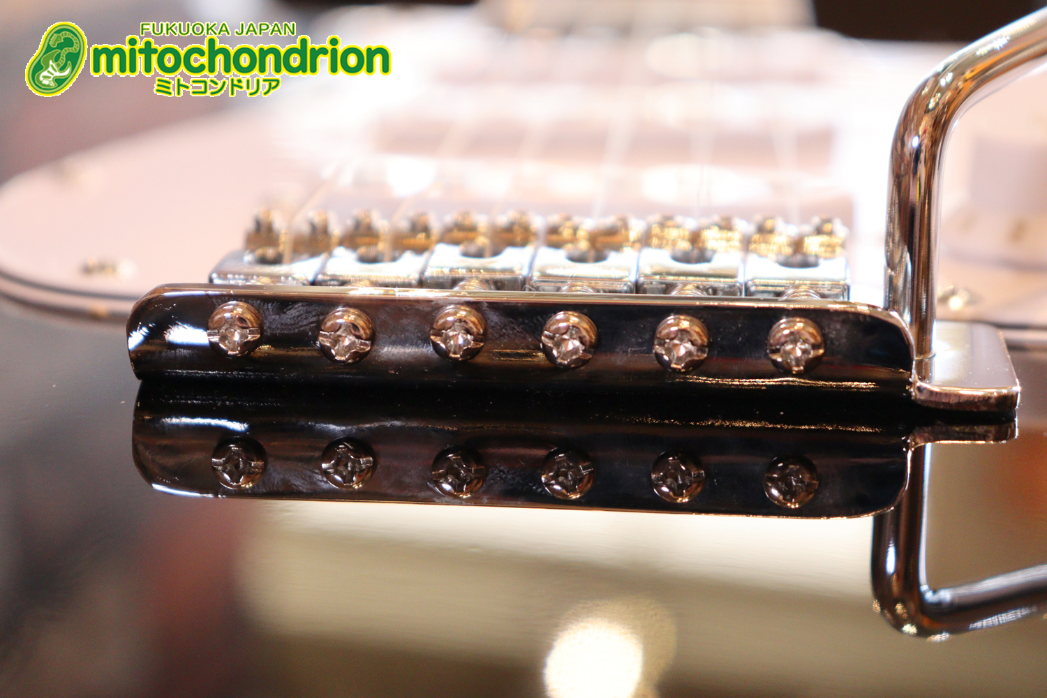 これから始める方にお勧め！万能なストラト・タイプ！BLK