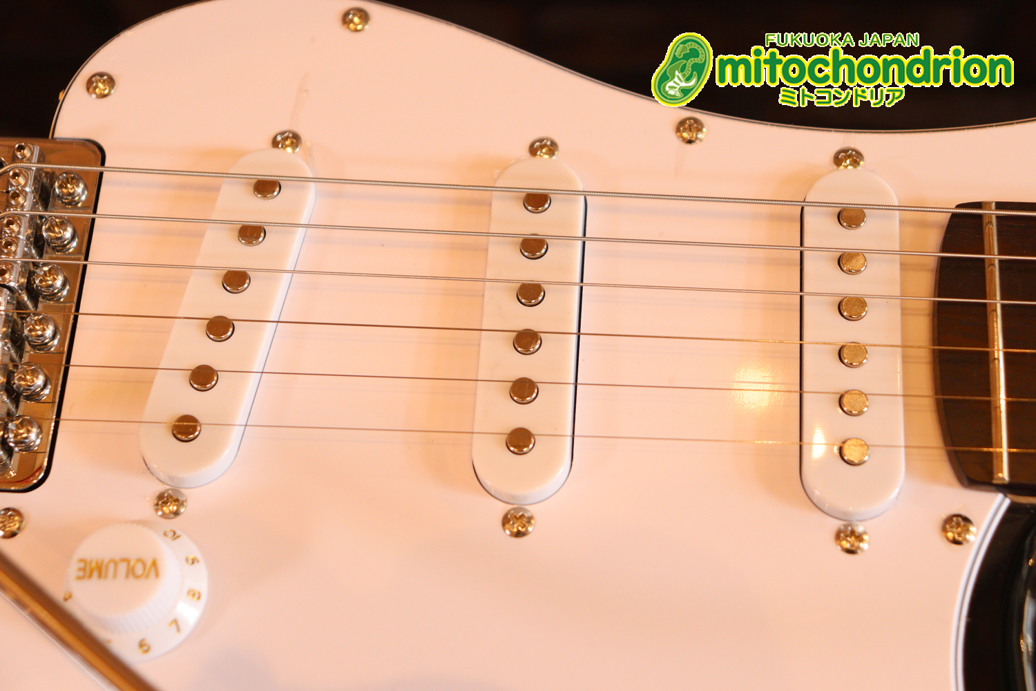 これから始める方にお勧め！万能なストラト・タイプ！BLK