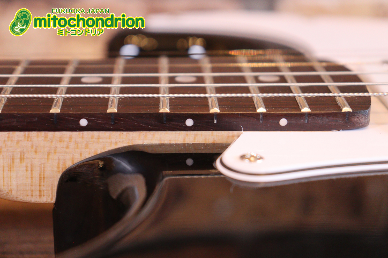 これから始める方にお勧め！万能なストラト・タイプ！BLK