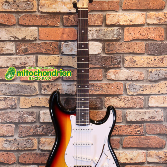 これから始める方にお勧め！万能なストラト・タイプ！3TS