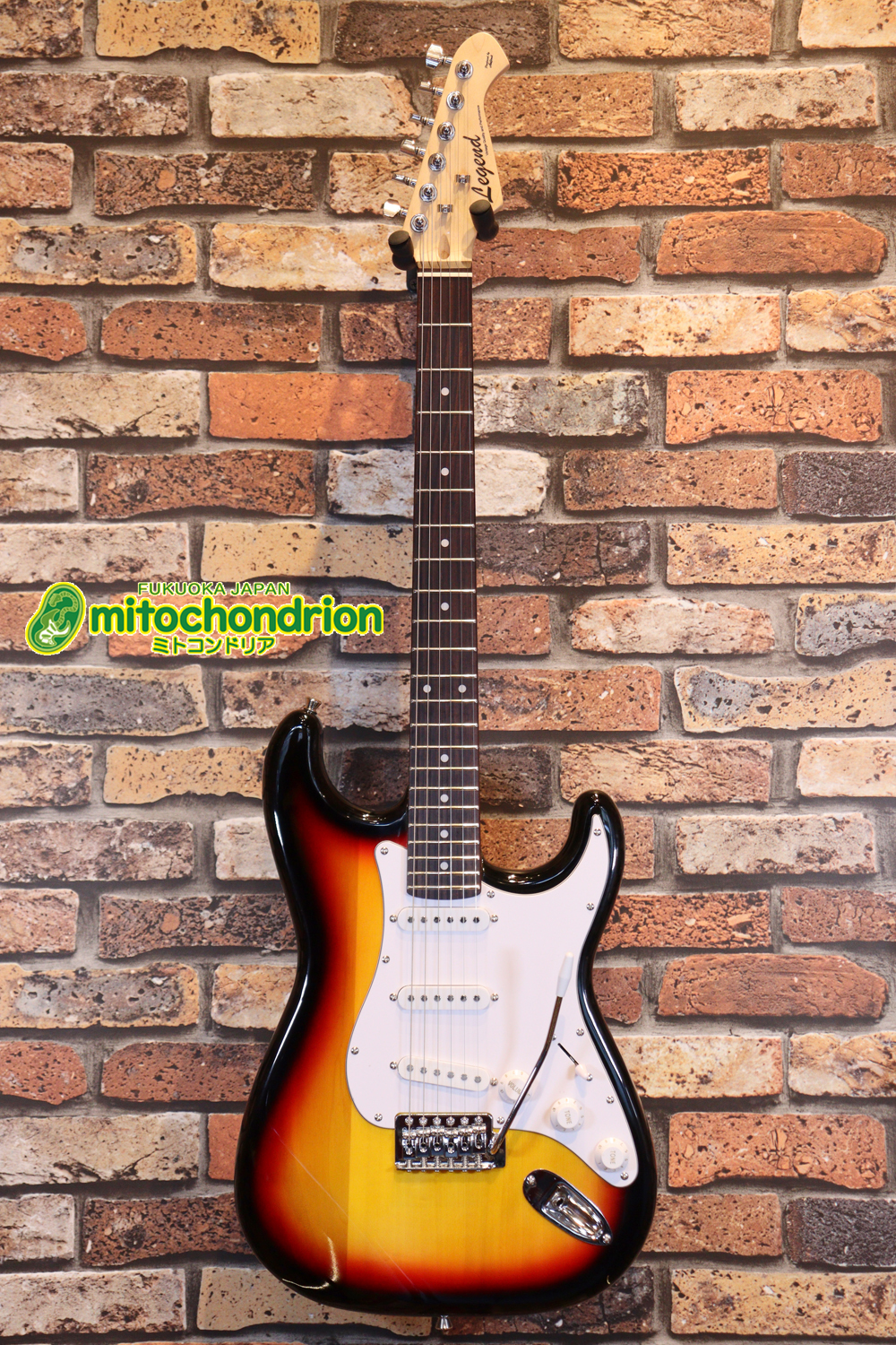 これから始める方にお勧め！万能なストラト・タイプ！3TS