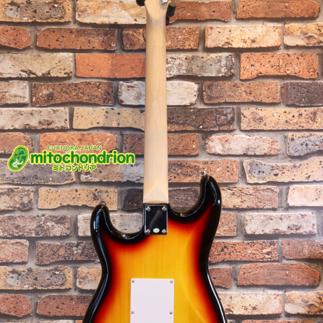 これから始める方にお勧め！万能なストラト・タイプ！3TS