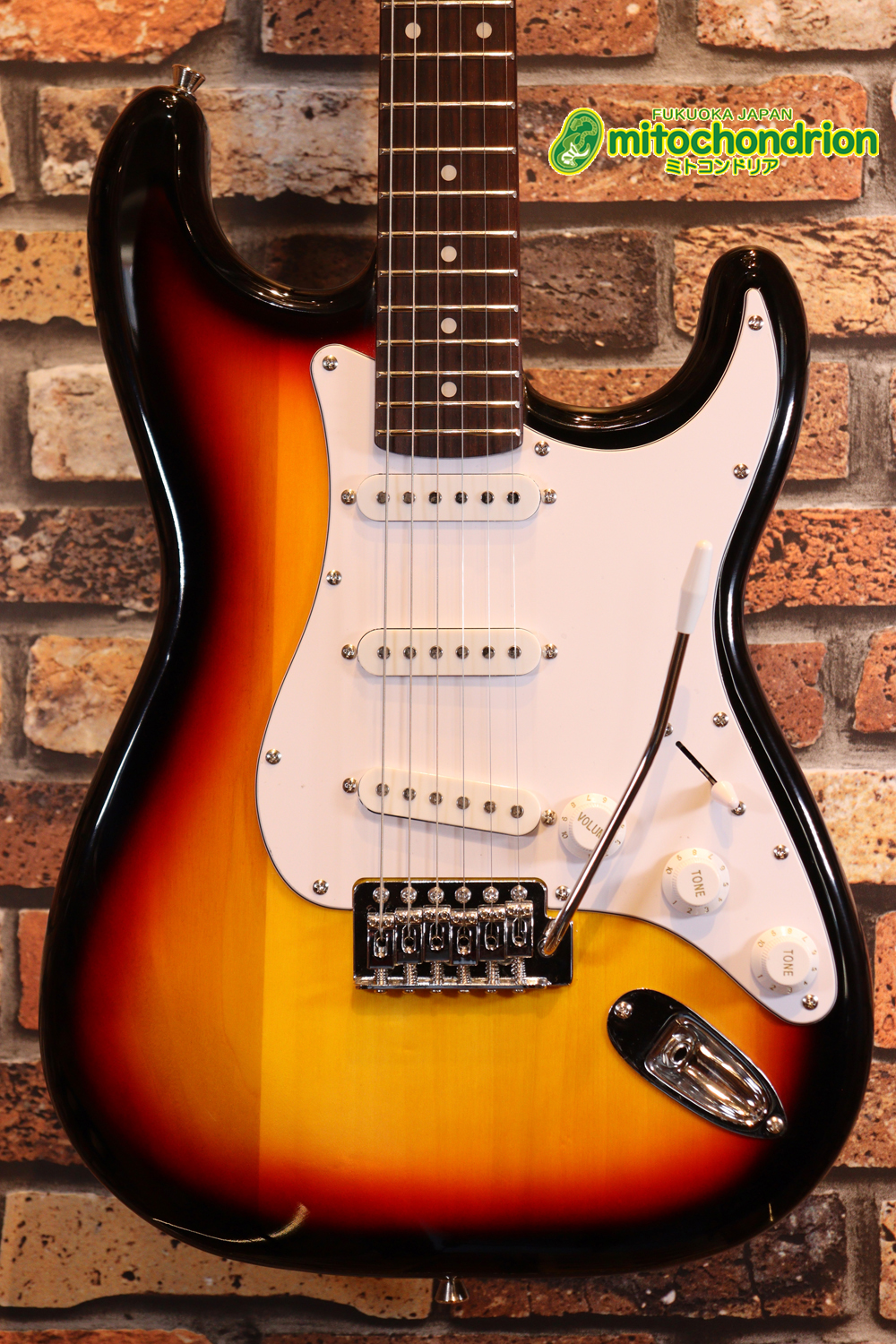 これから始める方にお勧め！万能なストラト・タイプ！3TS