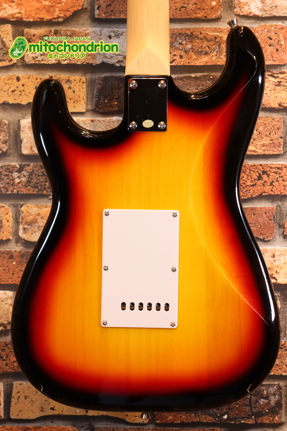 これから始める方にお勧め！万能なストラト・タイプ！3TS