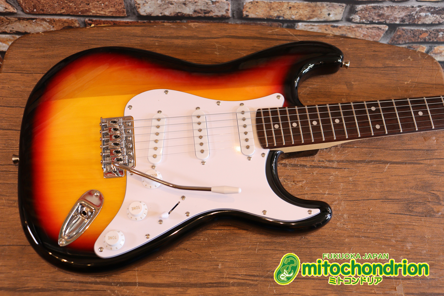 これから始める方にお勧め！万能なストラト・タイプ！3TS