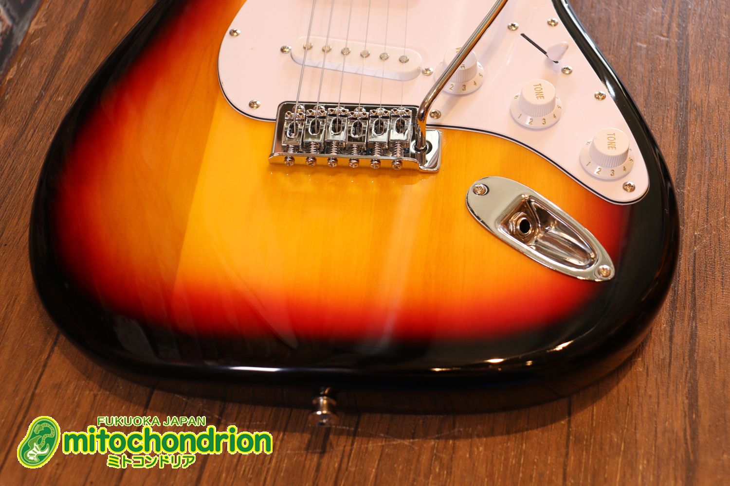 これから始める方にお勧め！万能なストラト・タイプ！3TS