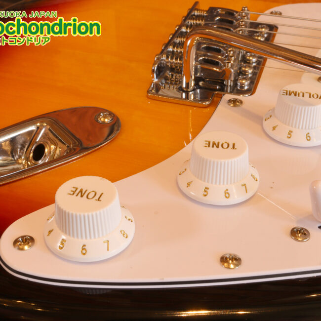 これから始める方にお勧め！万能なストラト・タイプ！3TS