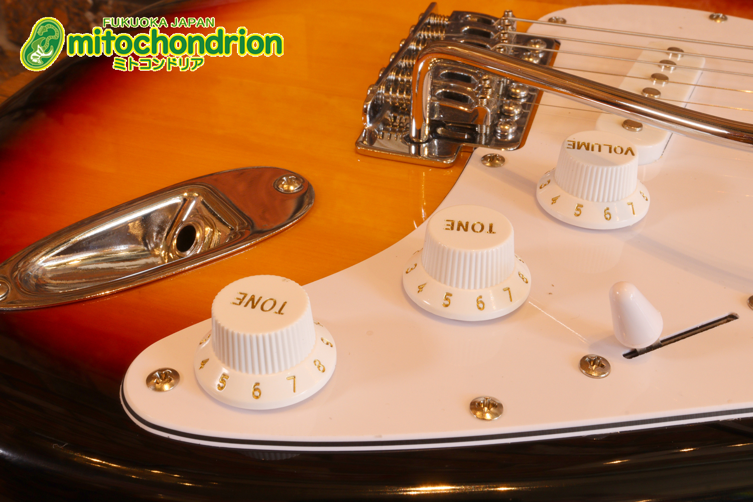 これから始める方にお勧め！万能なストラト・タイプ！3TS