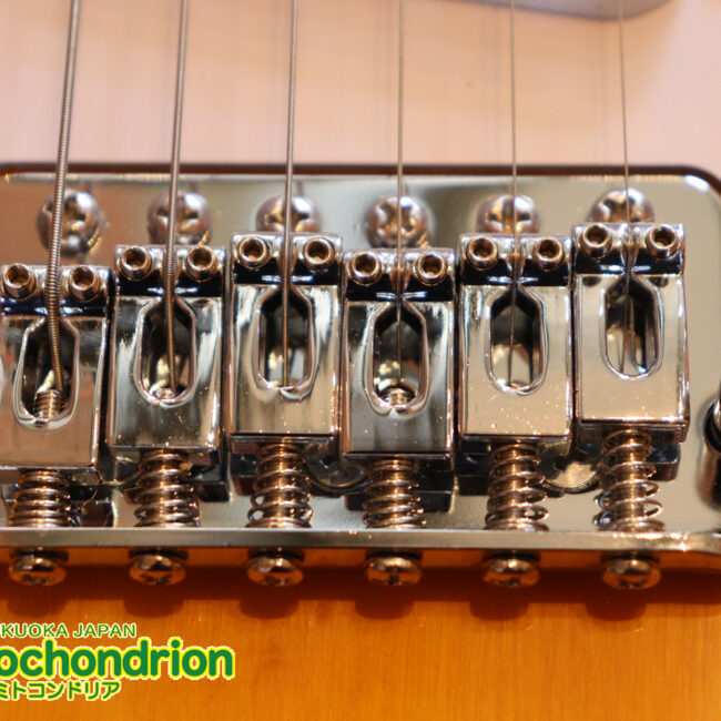 これから始める方にお勧め！万能なストラト・タイプ！3TS