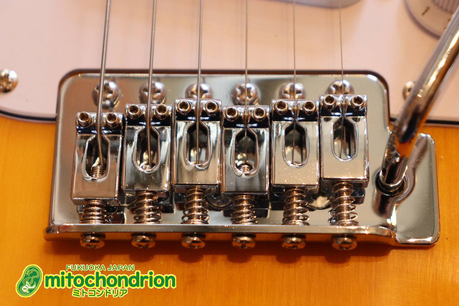 これから始める方にお勧め！万能なストラト・タイプ！3TS