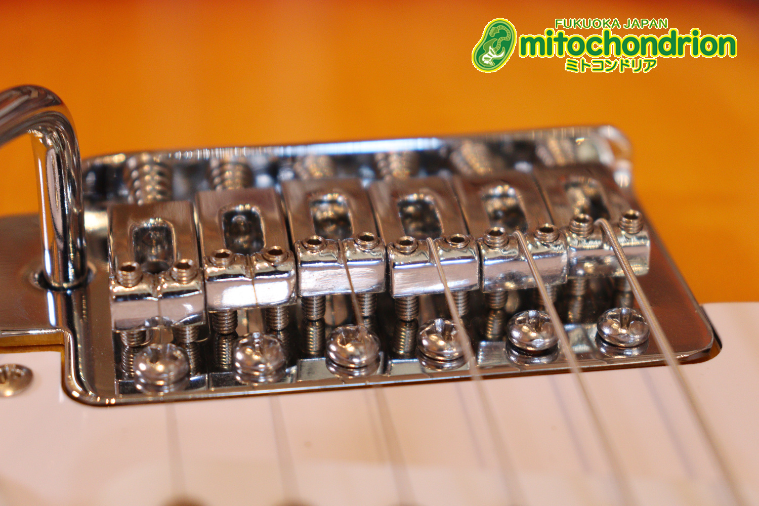 これから始める方にお勧め！万能なストラト・タイプ！3TS