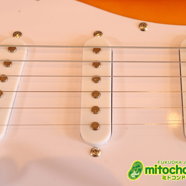 これから始める方にお勧め！万能なストラト・タイプ！3TS