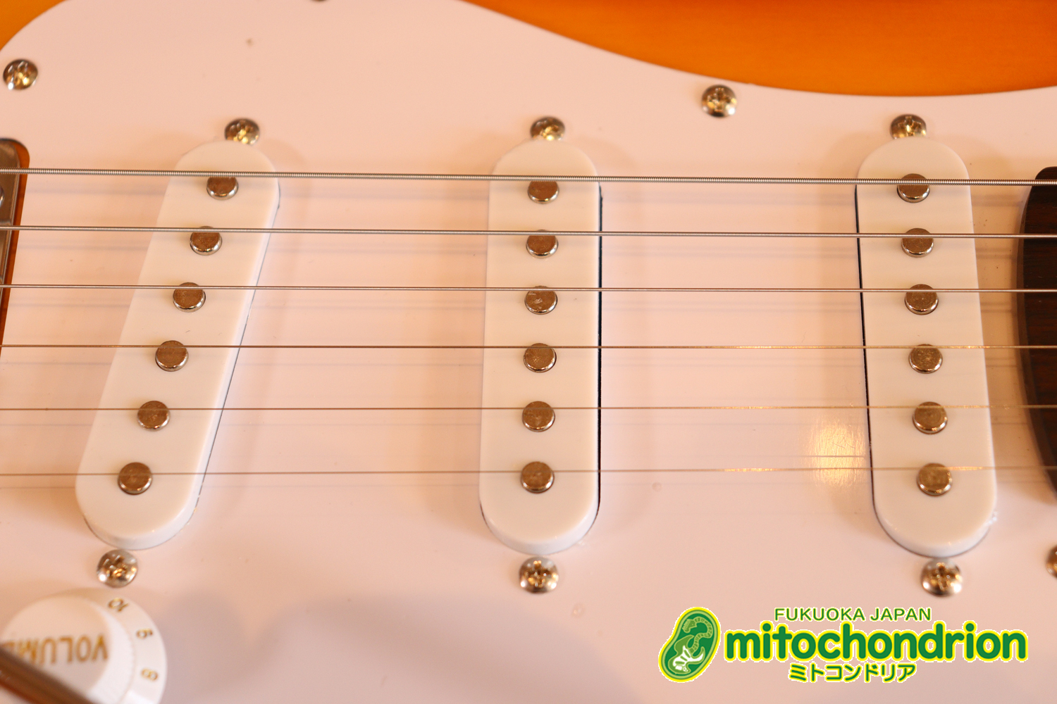 これから始める方にお勧め！万能なストラト・タイプ！3TS