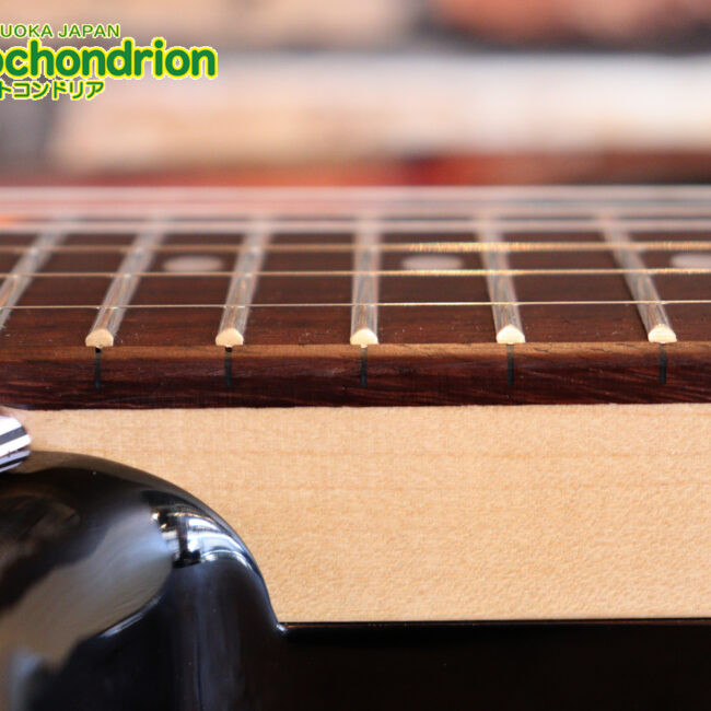 これから始める方にお勧め！万能なストラト・タイプ！3TS