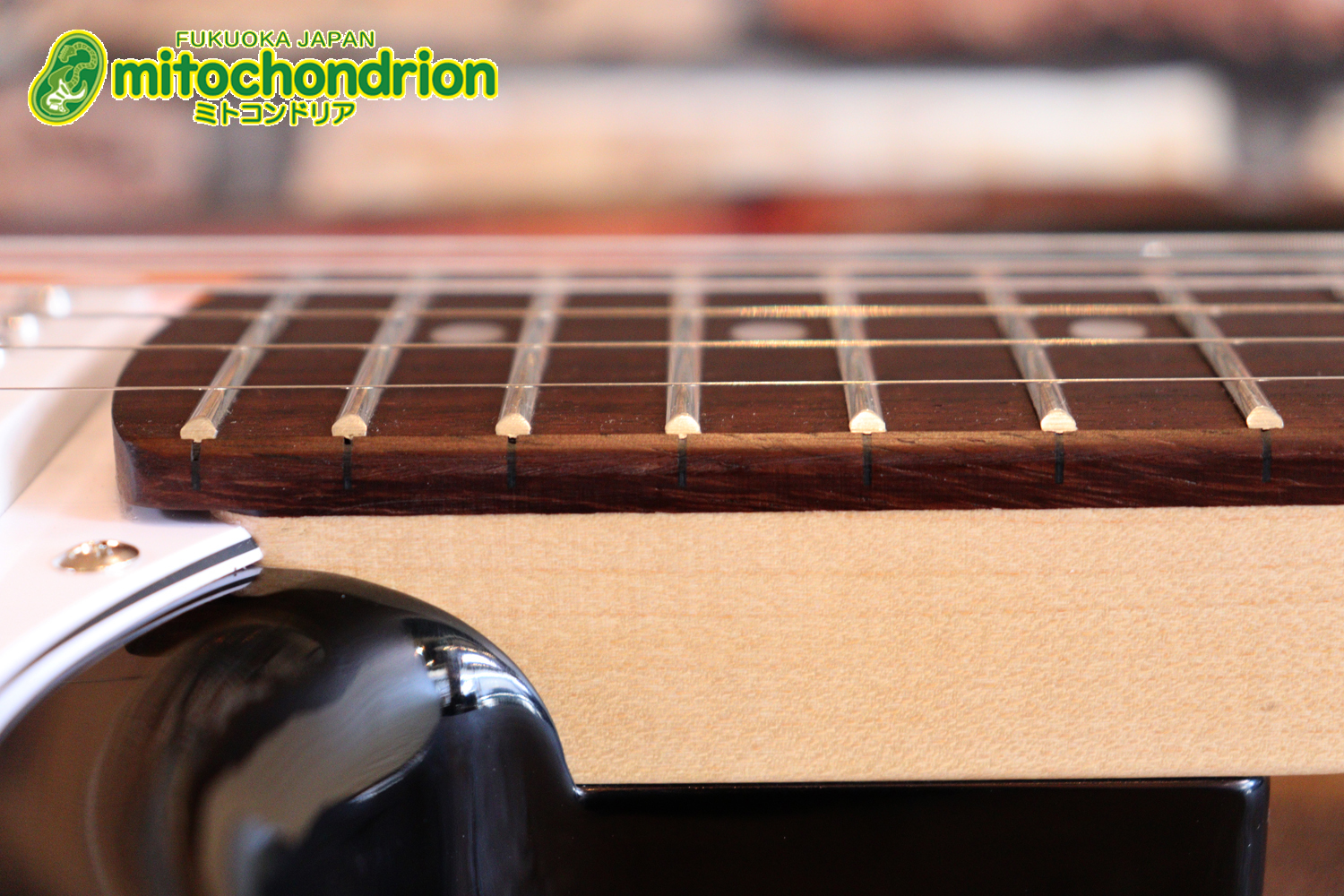 これから始める方にお勧め！万能なストラト・タイプ！3TS