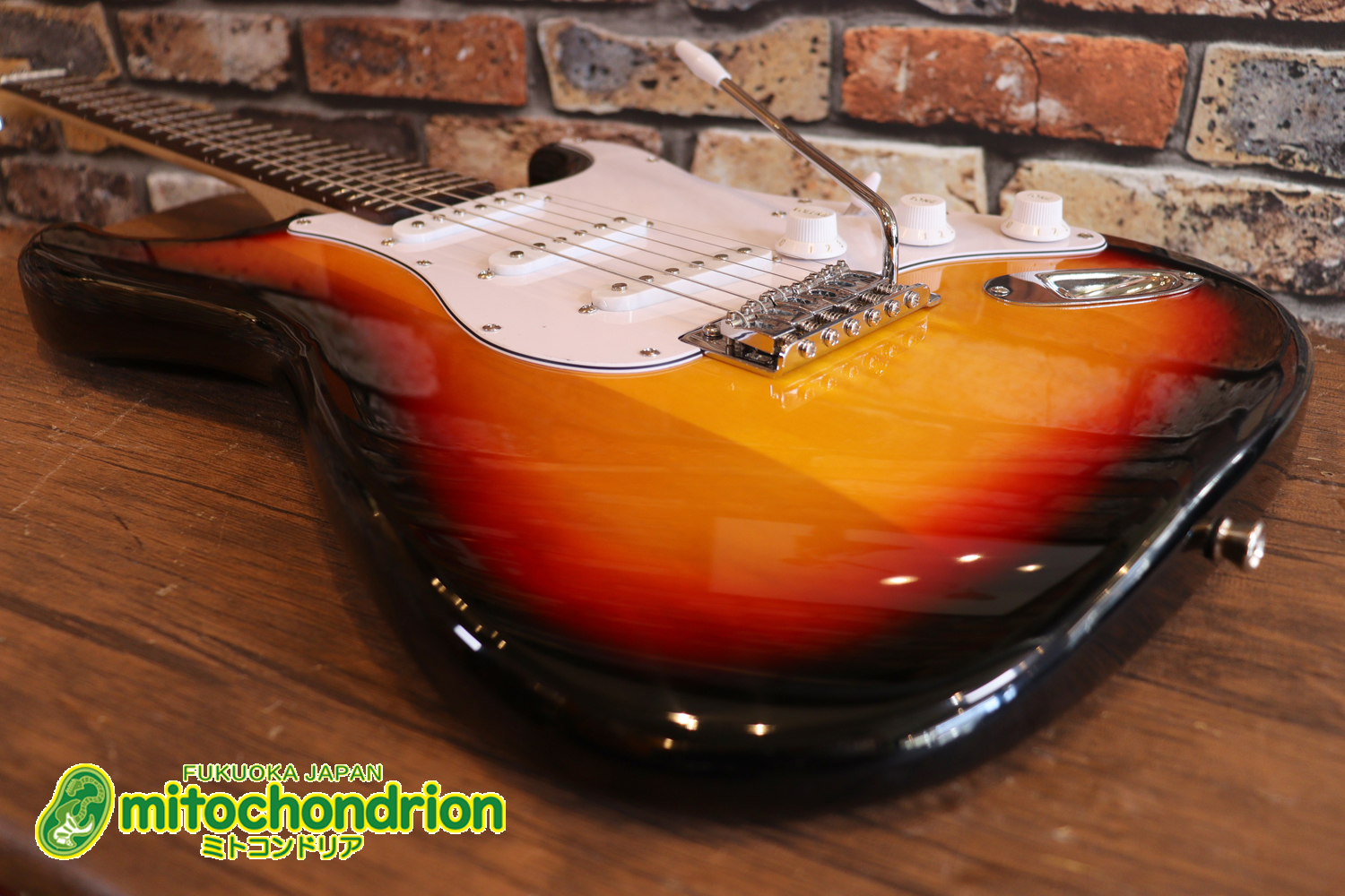 これから始める方にお勧め！万能なストラト・タイプ！3TS