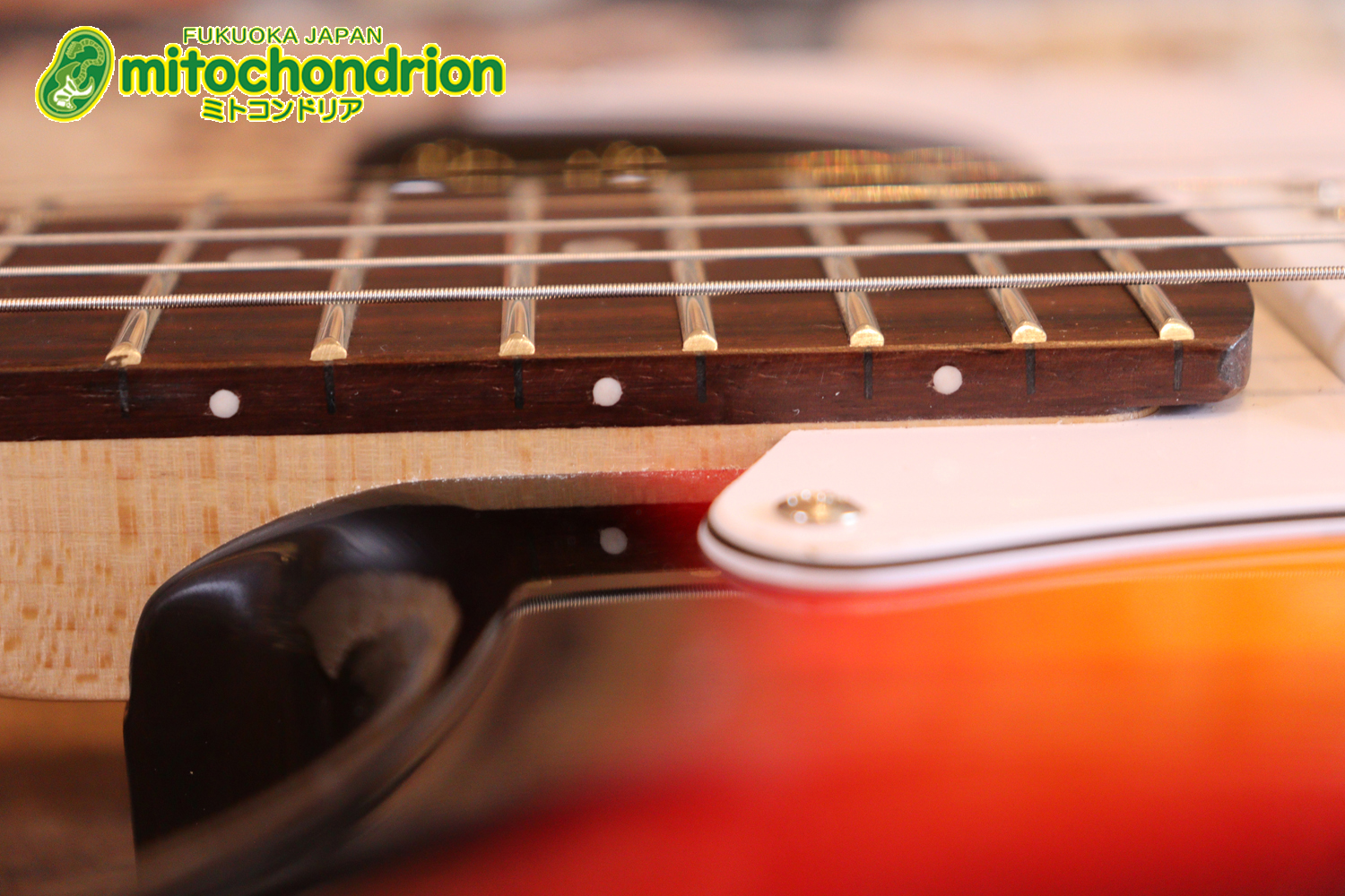 これから始める方にお勧め！万能なストラト・タイプ！3TS