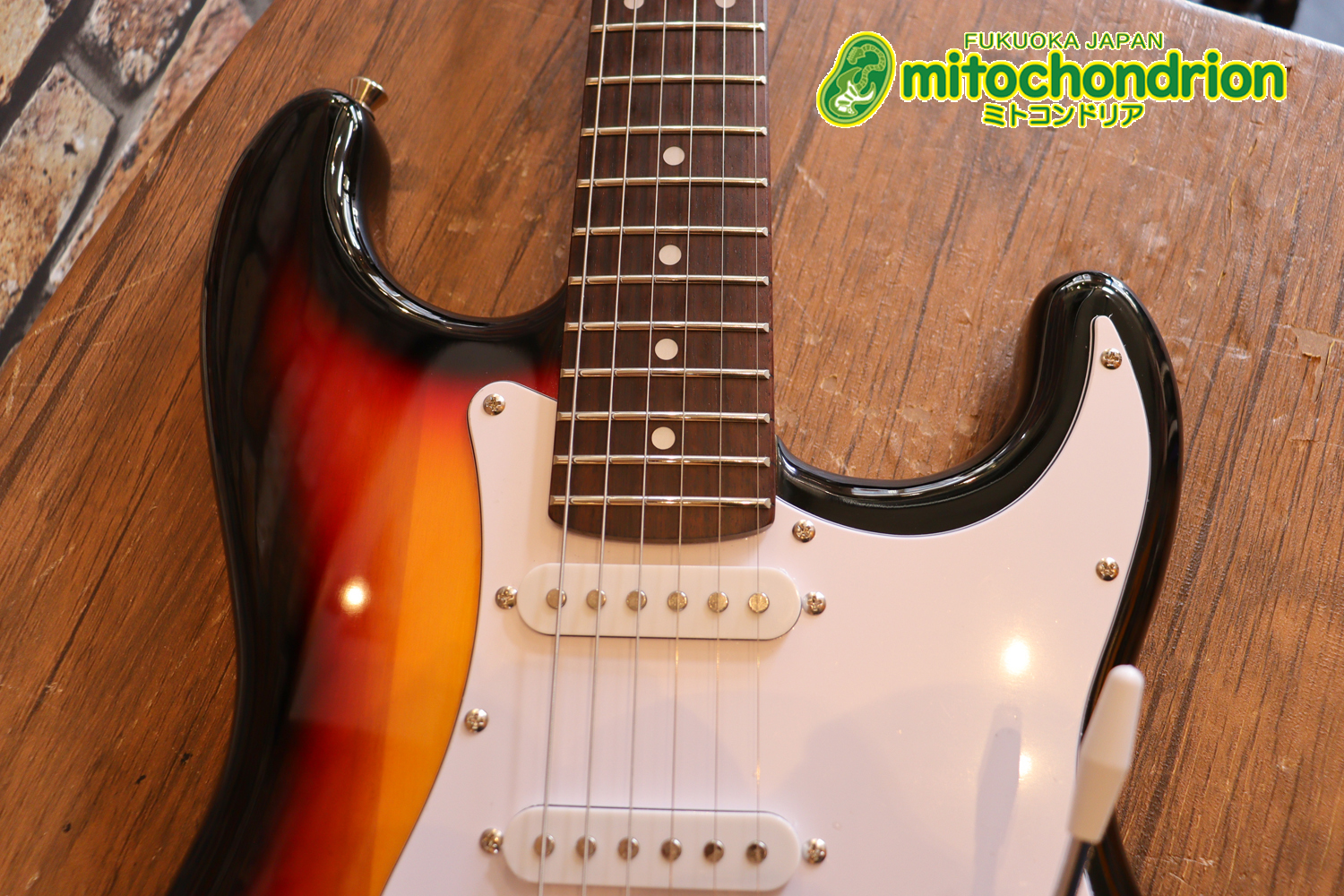 これから始める方にお勧め！万能なストラト・タイプ！3TS