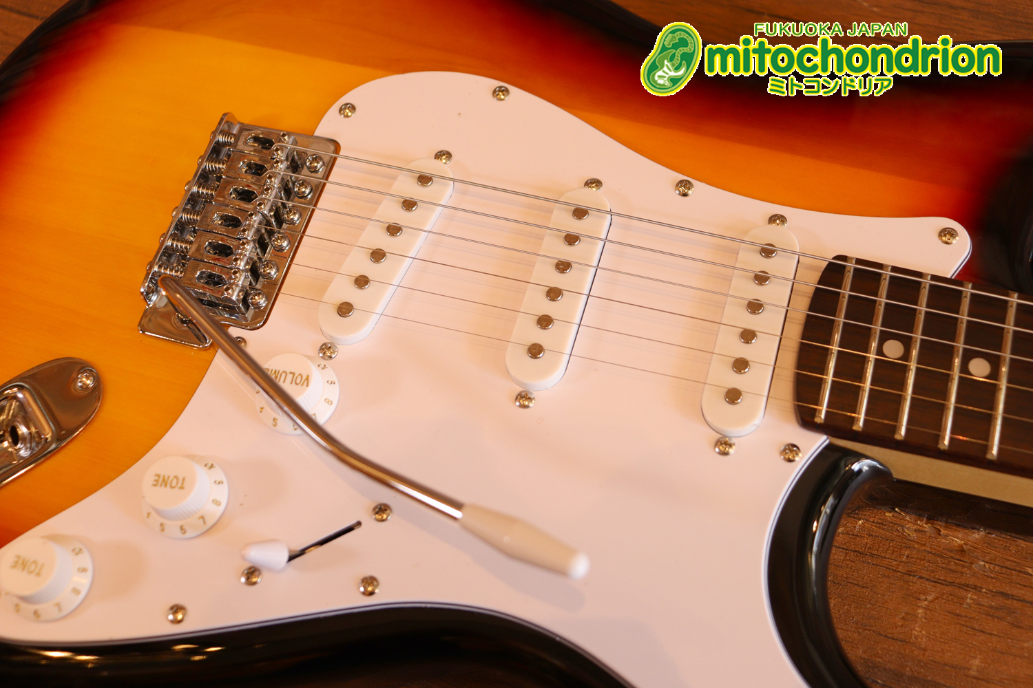 これから始める方にお勧め！万能なストラト・タイプ！3TS