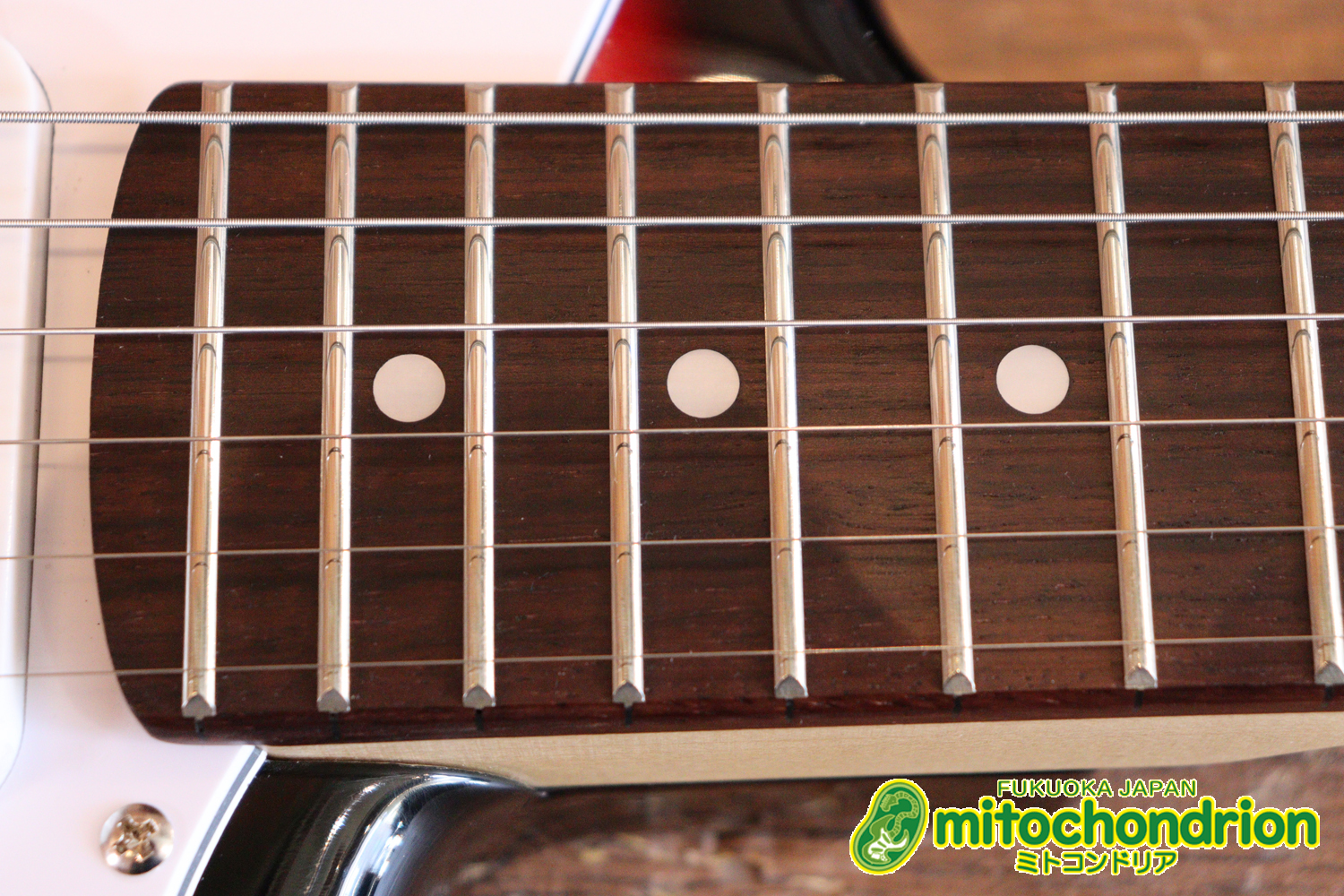 これから始める方にお勧め！万能なストラト・タイプ！3TS