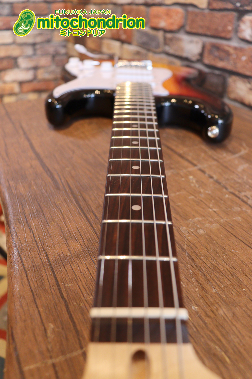 これから始める方にお勧め！万能なストラト・タイプ！3TS