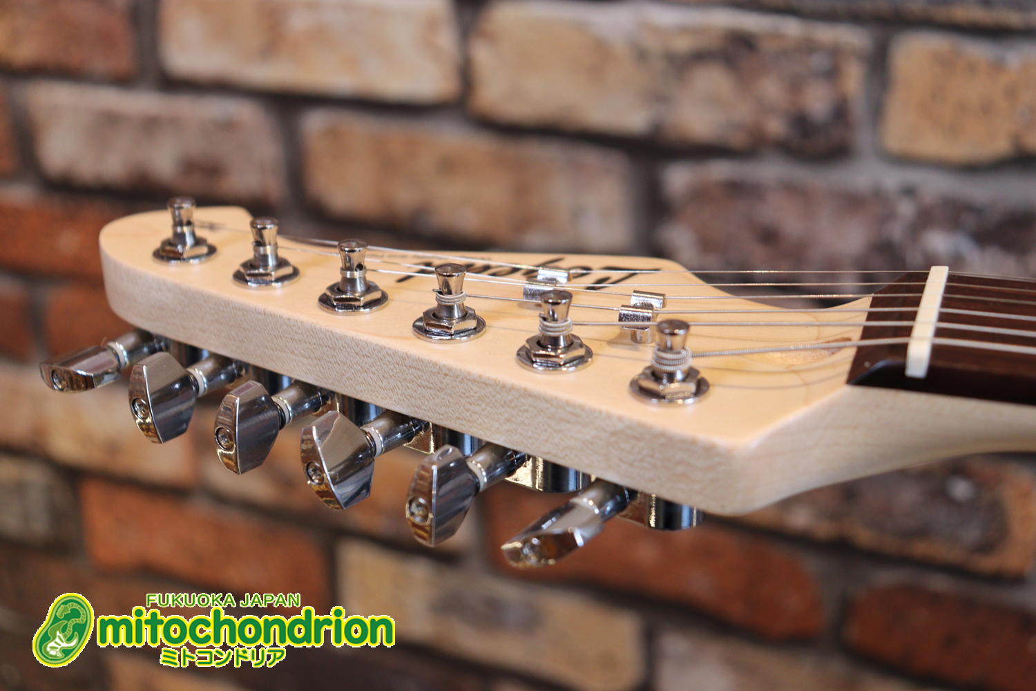 これから始める方にお勧め！万能なストラト・タイプ！3TS