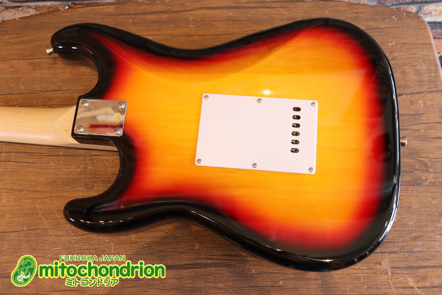 これから始める方にお勧め！万能なストラト・タイプ！3TS