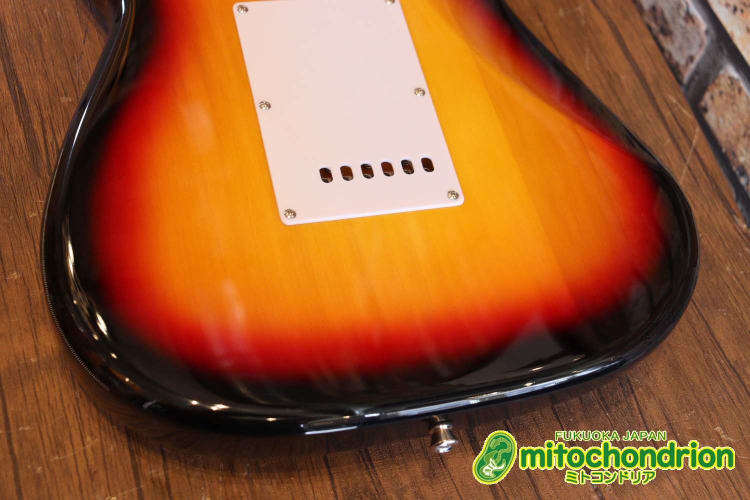 これから始める方にお勧め！万能なストラト・タイプ！3TS