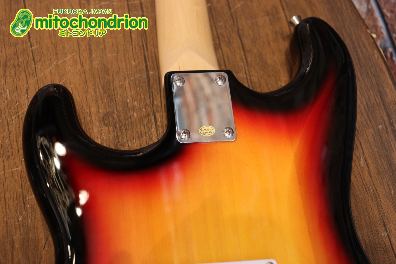 これから始める方にお勧め！万能なストラト・タイプ！3TS