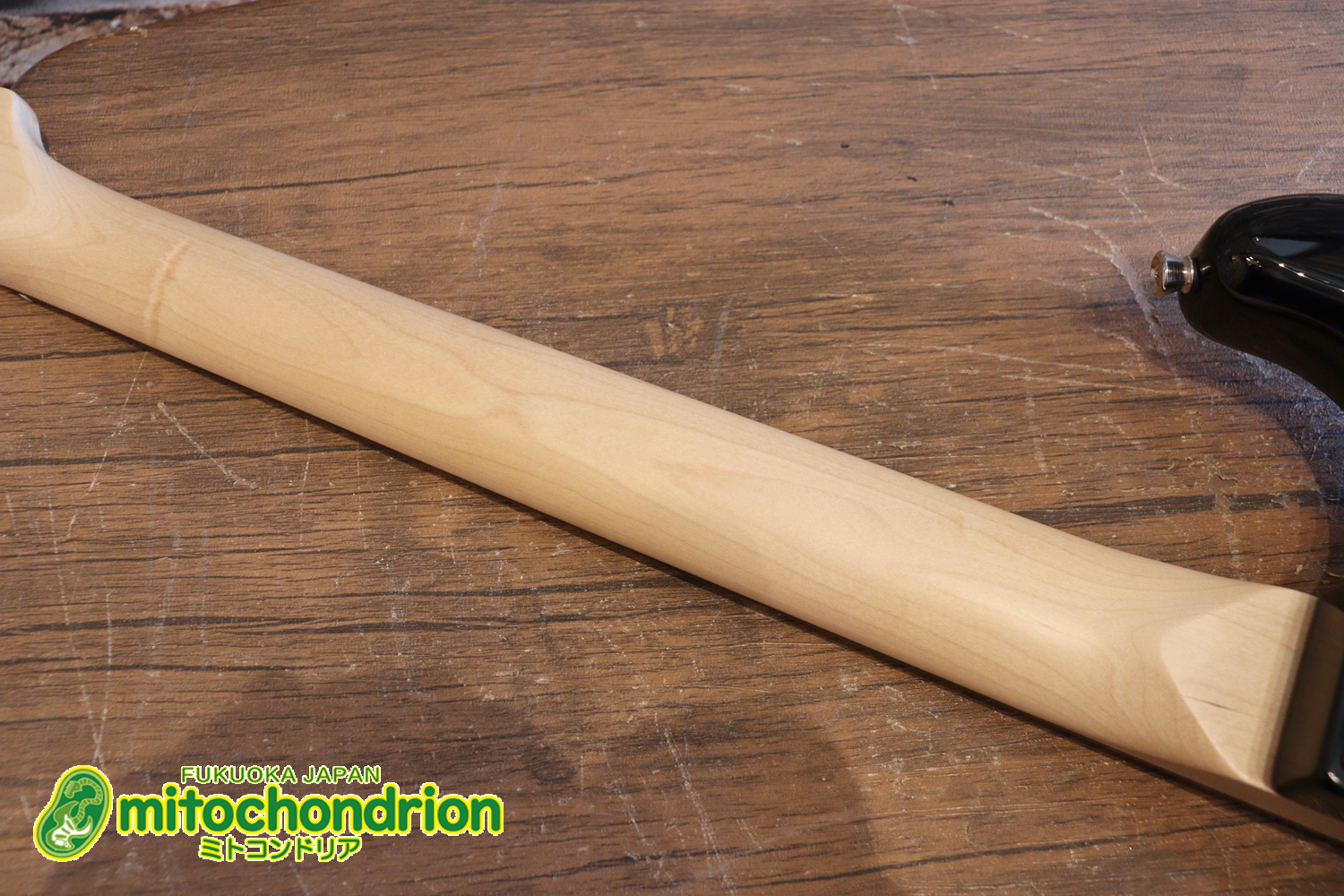 これから始める方にお勧め！万能なストラト・タイプ！3TS