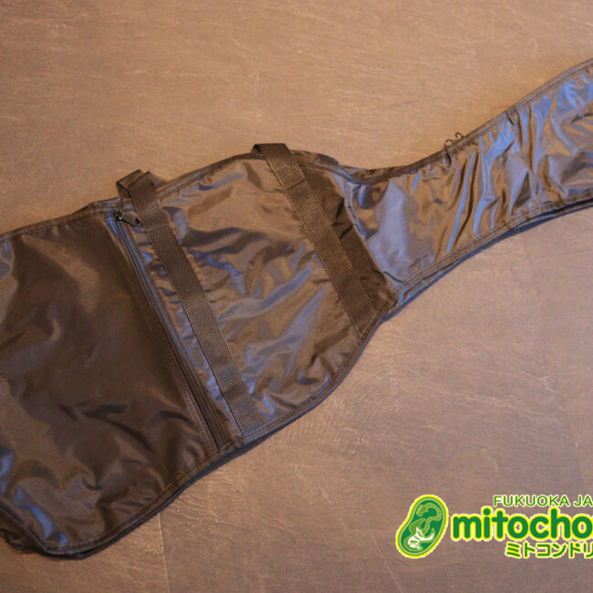 これから始める方にお勧め！万能なストラト・タイプ！3TS