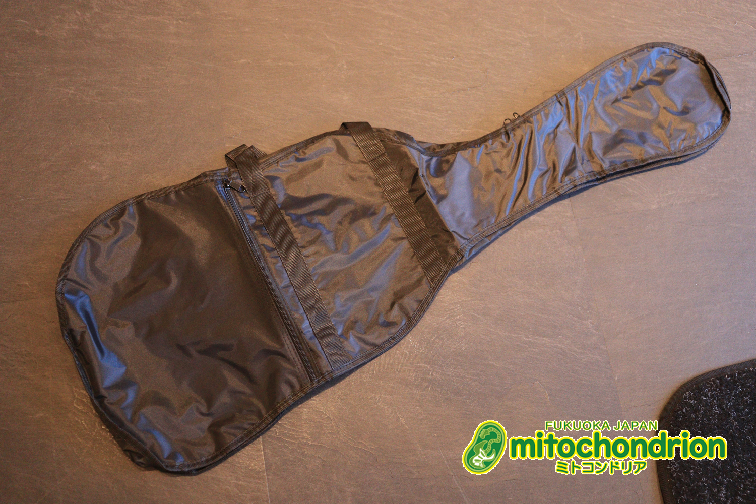 これから始める方にお勧め！万能なストラト・タイプ！3TS