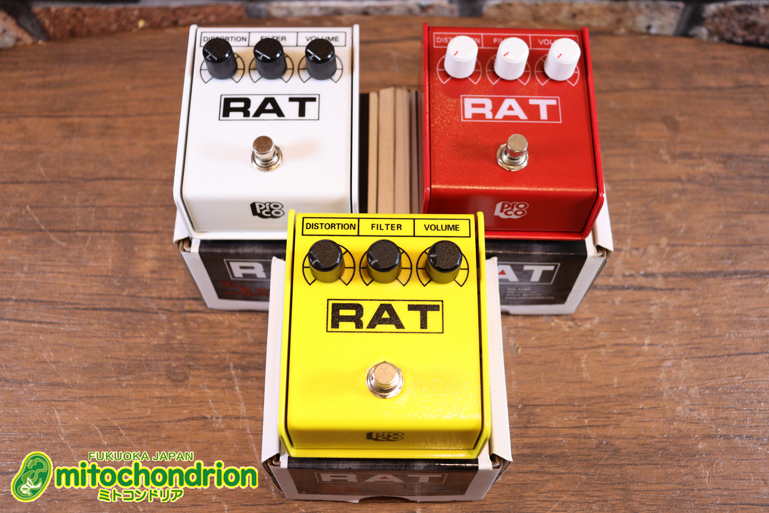 イケベ楽器 40周年と45周年の記念に作られたホワイト、レッド、イエローのRAT2、3台セット！