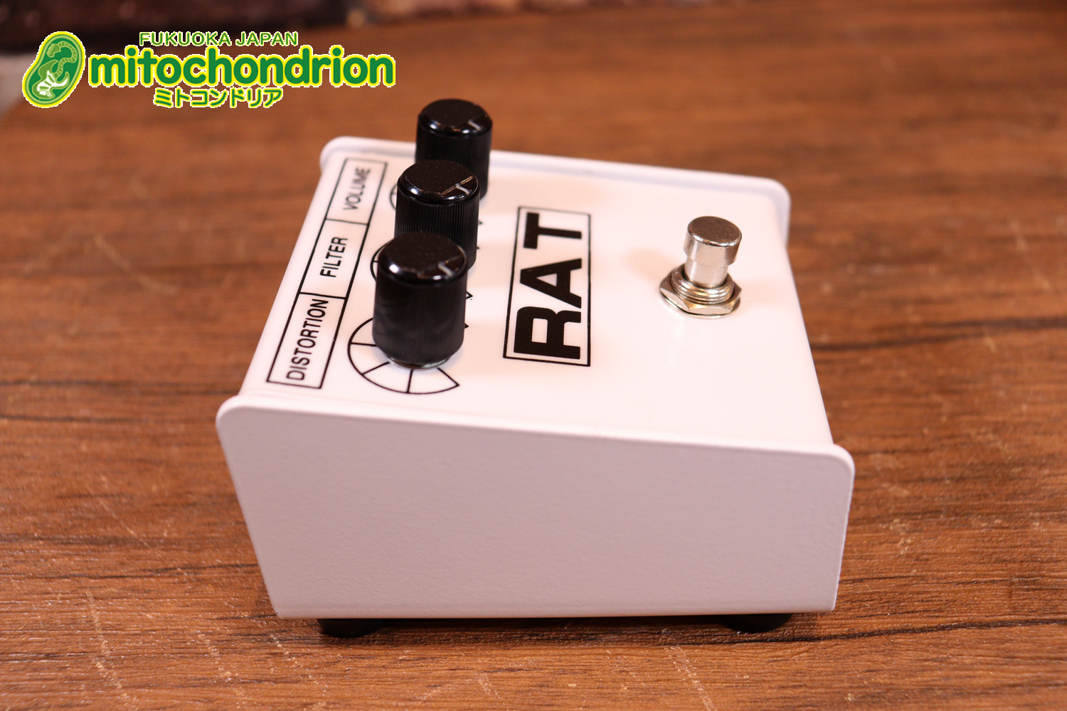 イケベ楽器 40周年と45周年の記念に作られたホワイト、レッド、イエローのRAT2、3台セット！