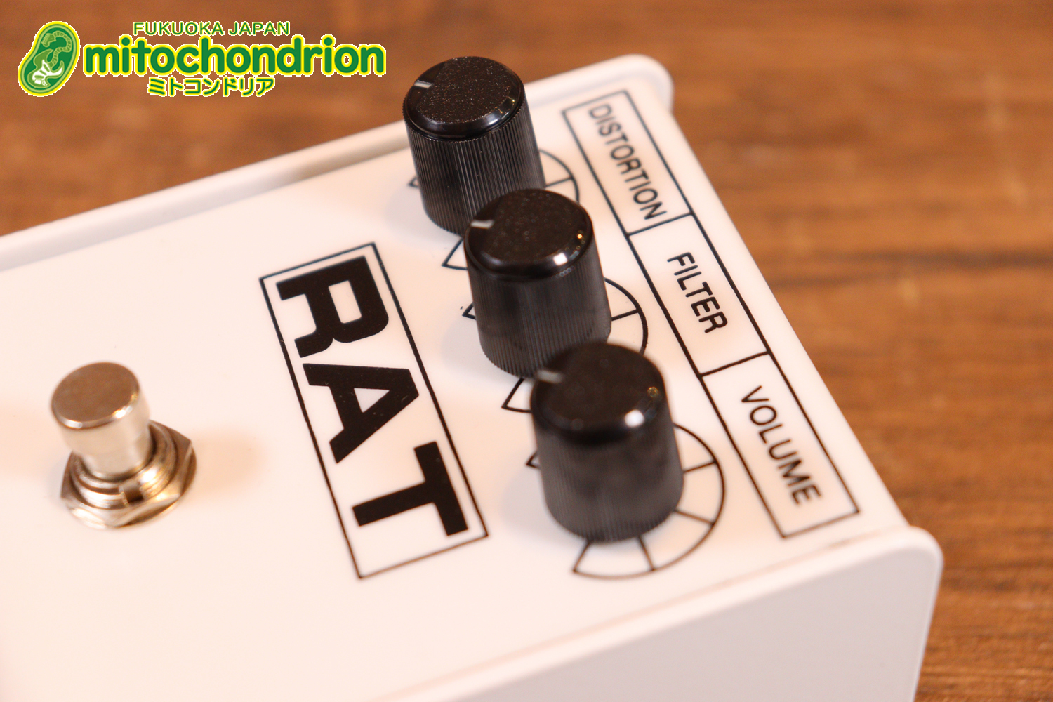 イケベ楽器 40周年と45周年の記念に作られたホワイト、レッド、イエローのRAT2、3台セット！