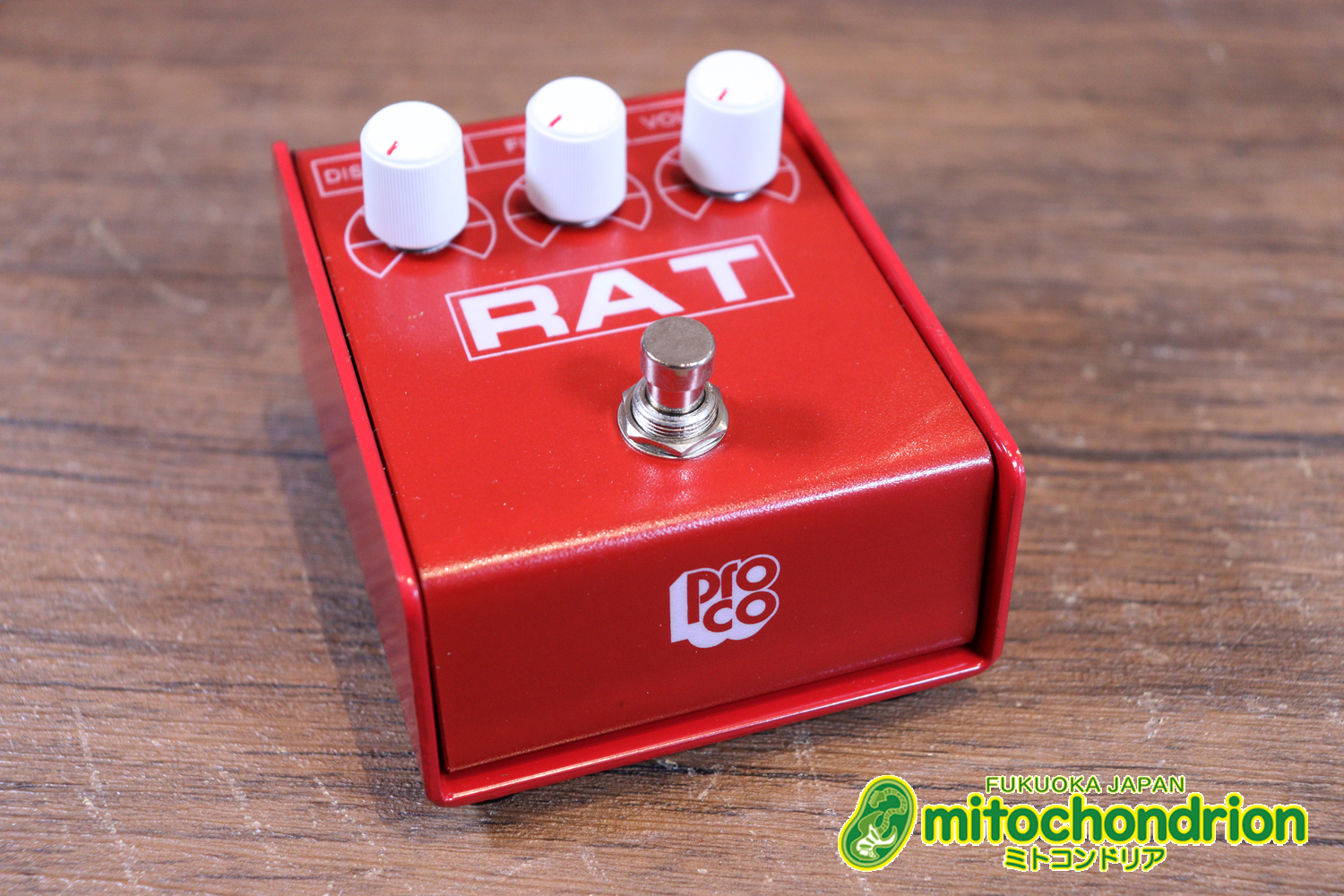 イケベ楽器 40周年と45周年の記念に作られたホワイト、レッド、イエローのRAT2、3台セット！