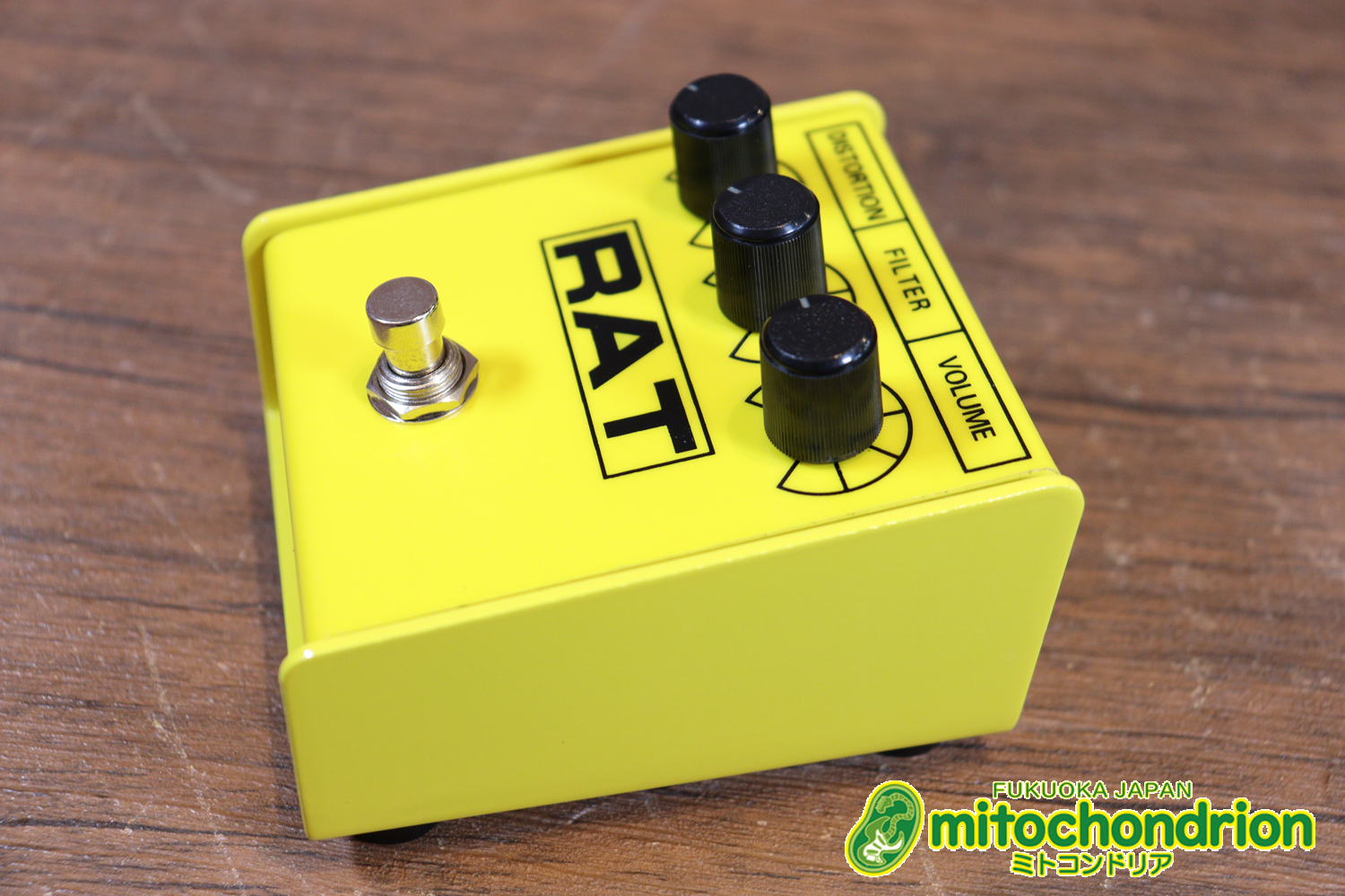 イケベ楽器 40周年と45周年の記念に作られたホワイト、レッド、イエローのRAT2、3台セット！