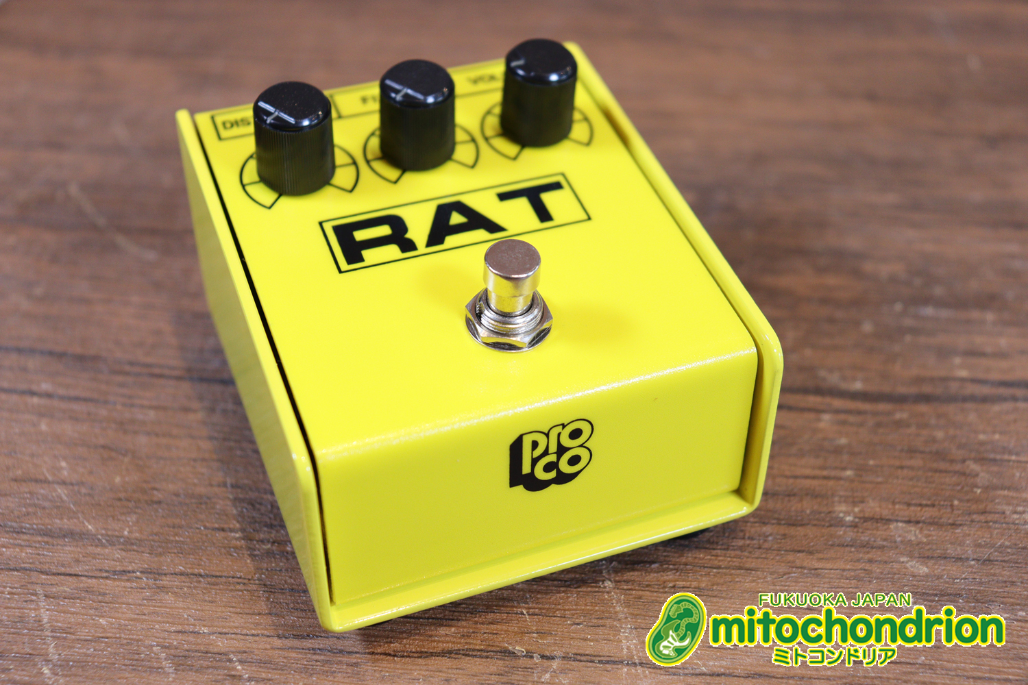 イケベ楽器 40周年と45周年の記念に作られたホワイト、レッド、イエローのRAT2、3台セット！