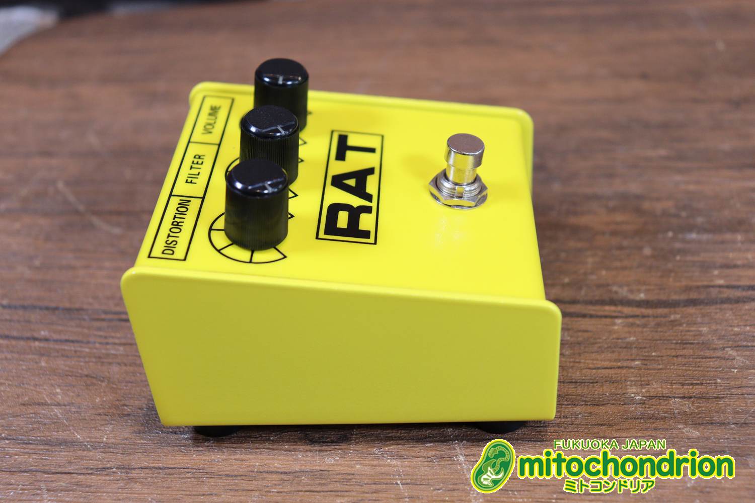 イケベ楽器 40周年と45周年の記念に作られたホワイト、レッド、イエローのRAT2、3台セット！