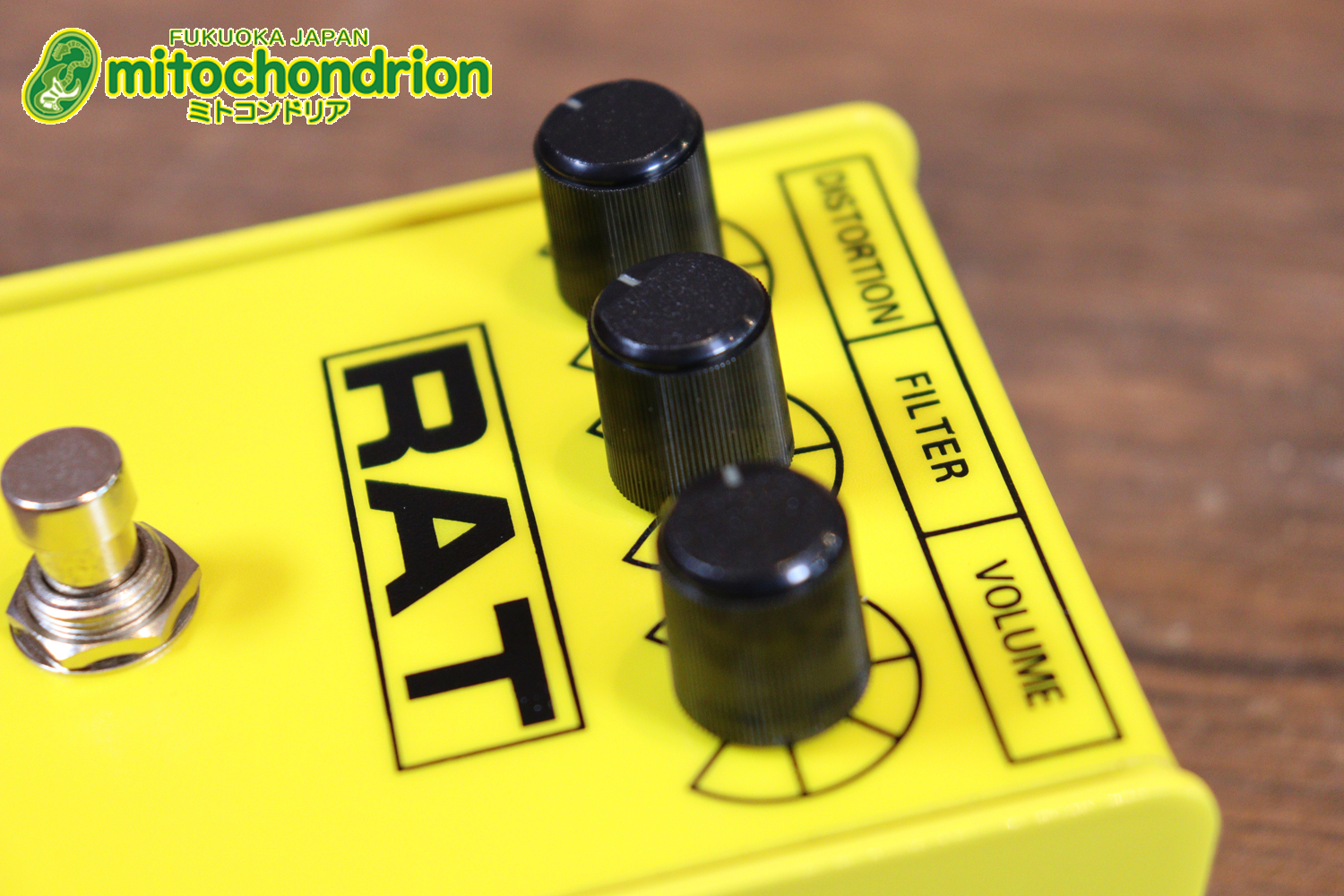 イケベ楽器 40周年と45周年の記念に作られたホワイト、レッド、イエローのRAT2、3台セット！