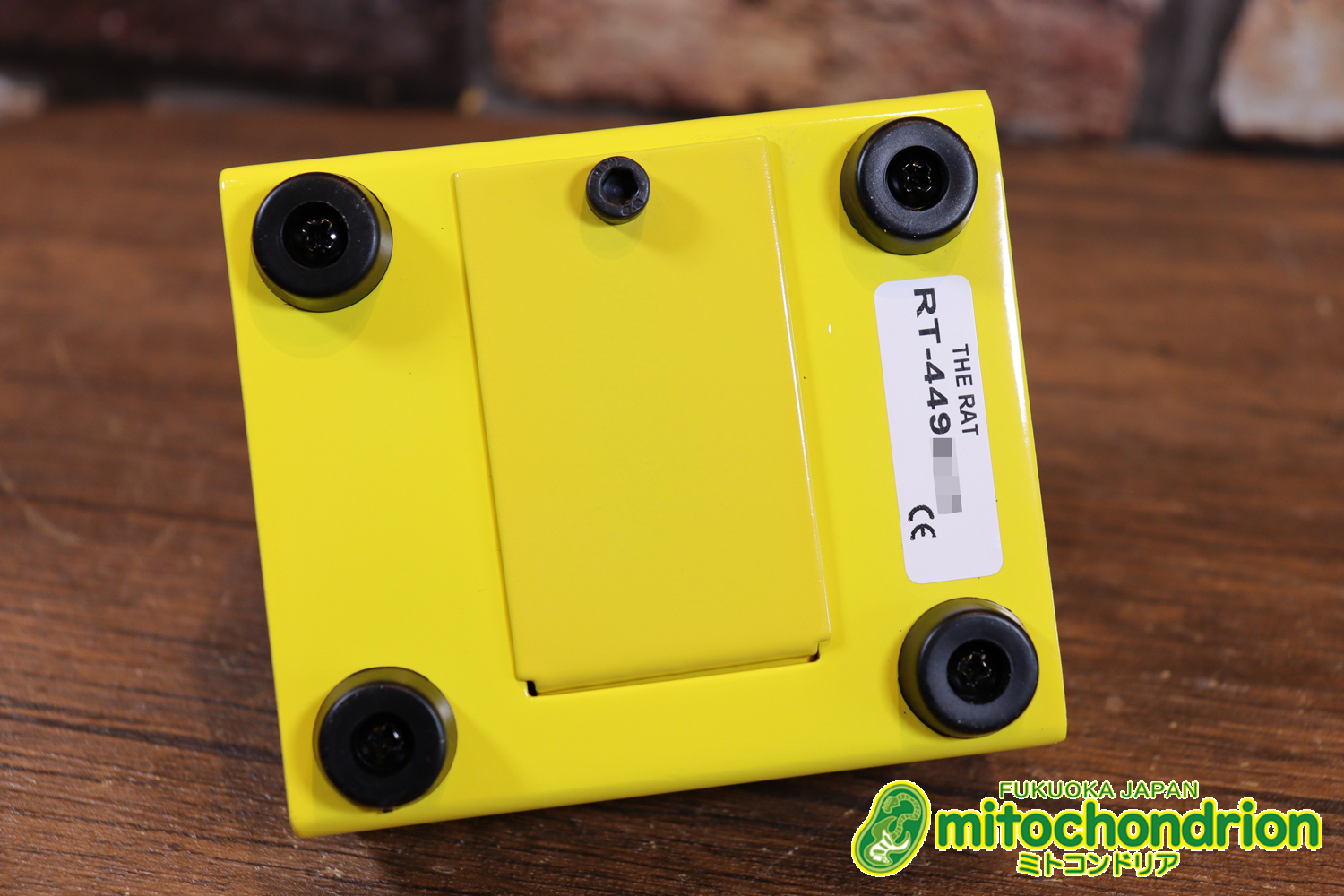 イケベ楽器 40周年と45周年の記念に作られたホワイト、レッド、イエローのRAT2、3台セット！