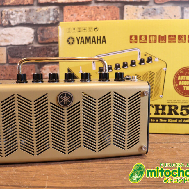 自宅用のミニアンプです。エフェクターも内蔵していて、ヘッドフォンも使えます！