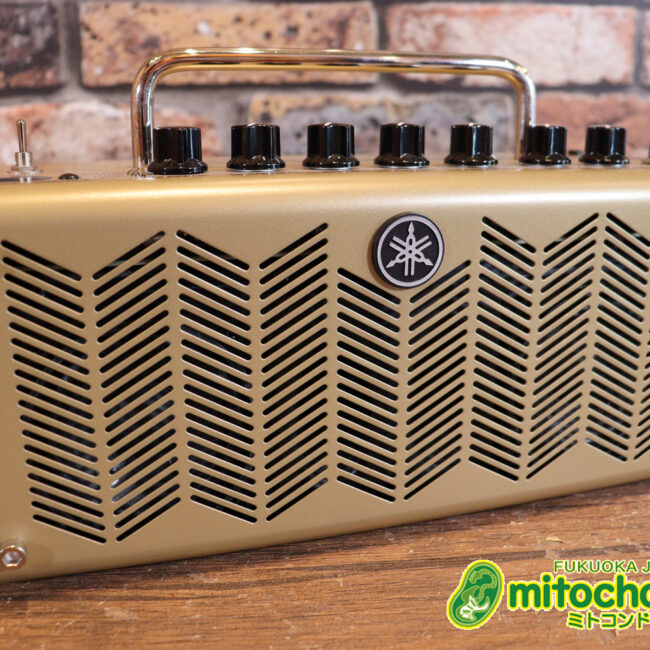 自宅用のミニアンプです。エフェクターも内蔵していて、ヘッドフォンも使えます！